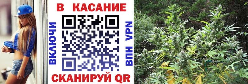 Купить наркотики Пошехонье Кокаин МЕФ КЕТАМИН Марихуана Гашиш СК