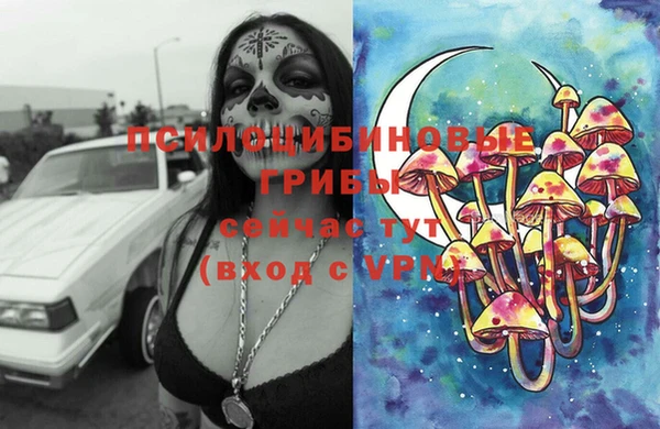 соль курить ск Алексеевка