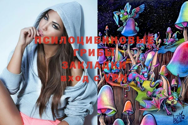 соль курить ск Алексеевка
