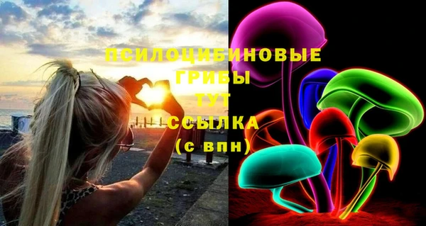 соль курить ск Алексеевка