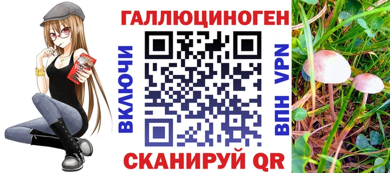 гидра как войти  магазин продажи наркотиков  Пошехонье  Псилоцибиновые грибы мухоморы 