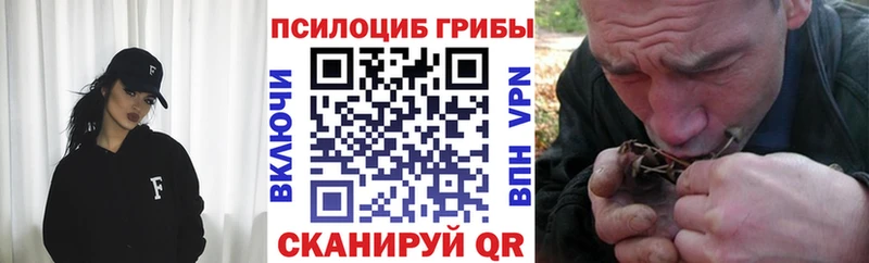 Галлюциногенные грибы прущие грибы Пошехонье